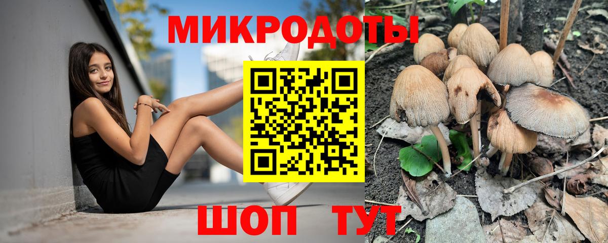 Псилоцибиновые грибы прущие грибы  Вход с VPN  Красноармейск 